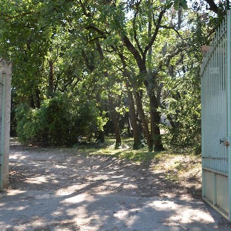 La Petite Sardine Panzió Lirac Kültér fotó